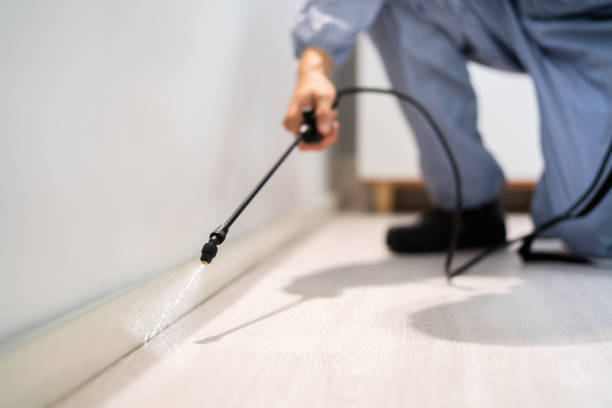 Licensed Cockroach Control service in East Liverpool, OH - Nex Pest Control