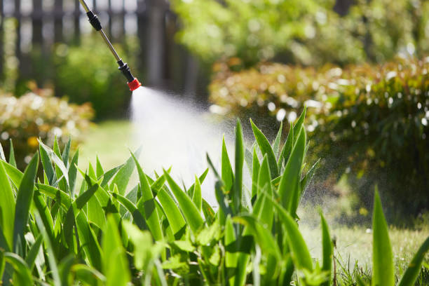 24/7 Emergency Cockroach Control experts in East Liverpool, OH