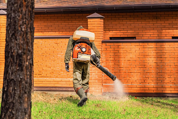 Trusted Ant Control service in East Liverpool, OH - Nex Pest Control
